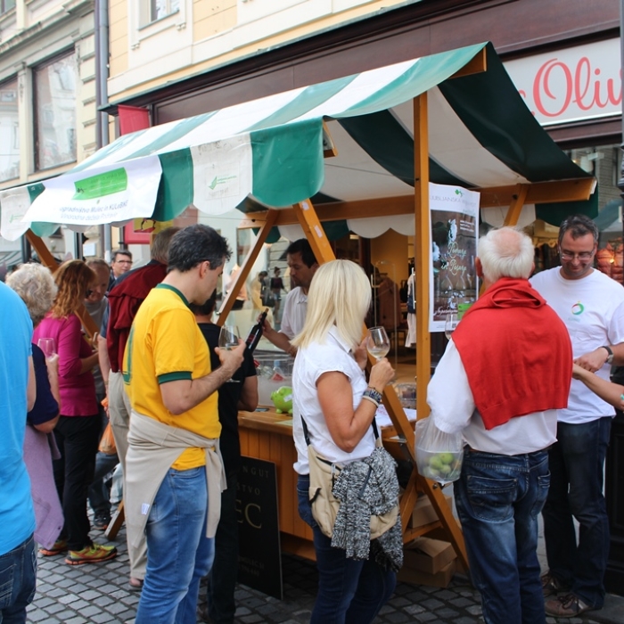 Martinovanje v Ljubljani