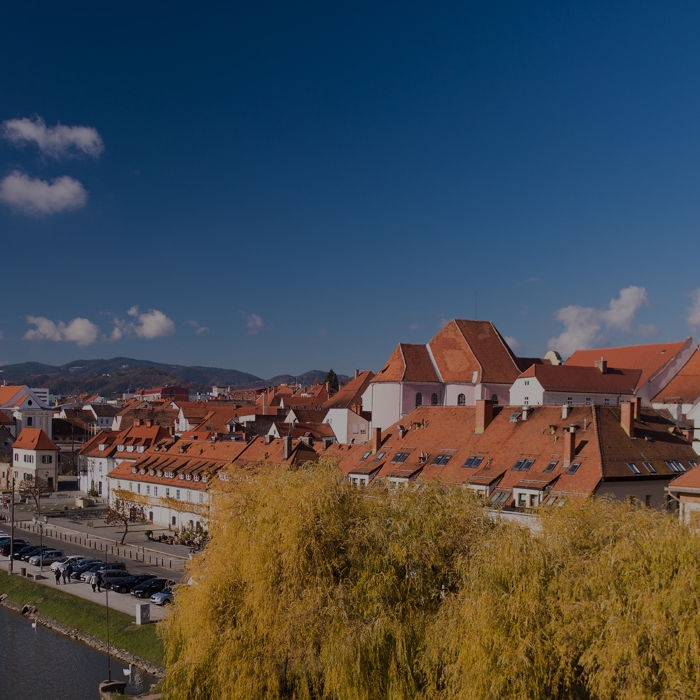 St. Martin's day in Maribor